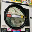 오랜만에 쓰는 블로그_6월 달(25일까지)