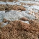 수선세탁 이미지