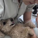 도기로움 이미지