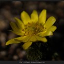 신구대학교 이미지