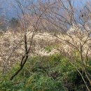 화엄사로 이미지