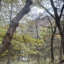 최박사 | [성남시 은행동] 최박사돈까스냉면 성남본점 치즈돈까스후기