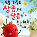 원독 네이버블로그