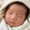 올레카센타 | 셀프 만삭촬영📸 및 강릉여름휴가, 출산휴가의 시작과 출산가방+조리원가방 싸기, 신생아 빨래 후기까지🫨