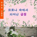 온나라전자 이미지