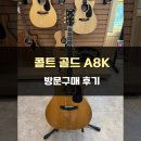 SOLID | 콜트 올솔리드 통기타 골드시리즈 A8K 방문구매 후기! [Cort All Solid Gold A8K]