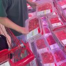 용인별바라기 이미지