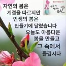 머리에기쁨