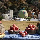 스테이 부사