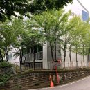 황골온누리약국 이미지