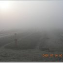 산안개 농장 이미지