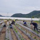 성주군농업기술센터 이미지