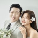 디어몽몽 이미지