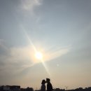 스테이솔 이미지