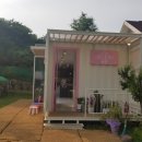 댕댕그라운드 이미지