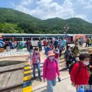 아리랑열차 연계형 시티투어2 이미지