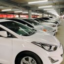 345렌트카 이미지