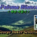 Paloma Blanca (하얀비둘기) - George Baker Selection 가사번역, 한글자막, 이미지