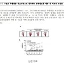 주식회사 다윈푸드