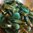 초록메디 이미지