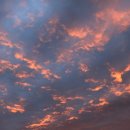 귤익는 마을 이미지