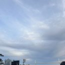 광안리 불꽃축제 후기