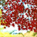 흑석동산성 이미지