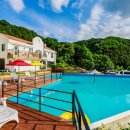 로로포레 이미지