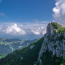 농업회사법인 주식회사 제일 이미지