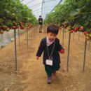 정예농장 이미지