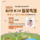 월산면 용구산 들꽃축제 네이버블로그