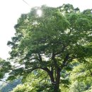 화개초등학교왕성분교 이미지