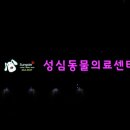 성심동물의료센터 이미지