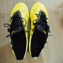 F50 이미지