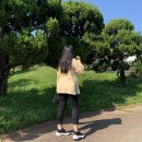 방키마켓
