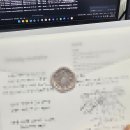 부케팔로스 | 2025년 12월 정리 - 2