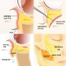 에스에이치의원 이미지