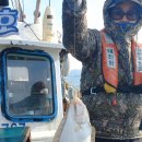 광어랑우럭이랑 이미지