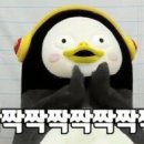 뽀끼월드 이미지