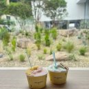 까페젤라떼리아 | 부산 영도 신상카페 젤라떼리아 젤라또 맛집 후기