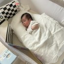 SM 산후테라피