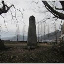 석불입상(石佛立像) 이미지