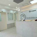 아이콘 동물병원 이미지