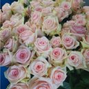 하나농장 이미지