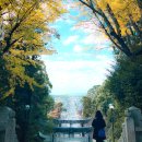 2942 | 후쿠오카 버스투어 비교 TOP 5: 후기 6,000개 vs 가성비 vs 이색코스 (2026 최신)