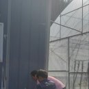 순겸농장 Daum카페
