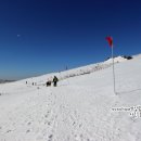 그린게스트하우스 이미지