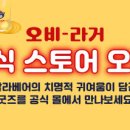 오비스토어