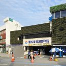 광진종합건재 | 강원도 강릉 당일치기 여행 후기 고속버스 경포대 강릉선교장 옥천동 은행나무 강릉 중앙시장 순댓국...