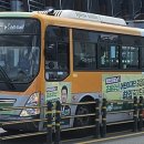 남성여객자동차(주) 네이버블로그
